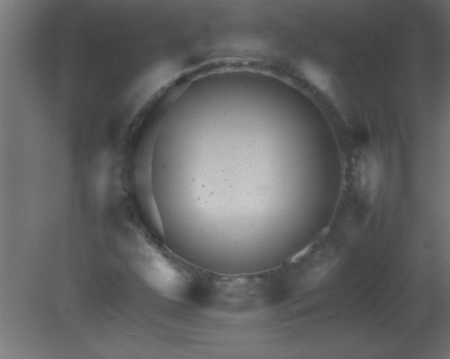 X0000080801352200701122204