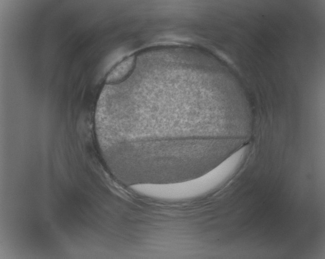 X0000080801355200701122204