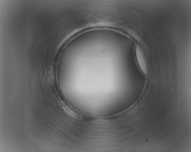 X0000080801356200701122204