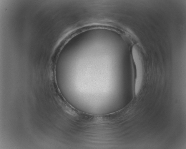 X0000080801360200701122204