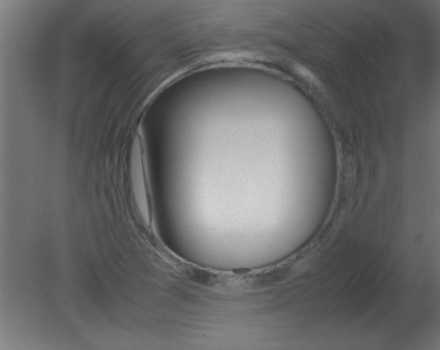 X0000080801361200701122203
