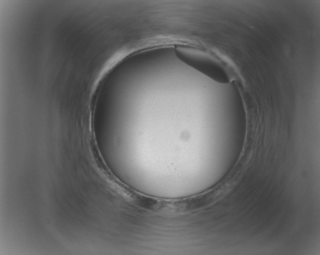 X0000080801365200701122203
