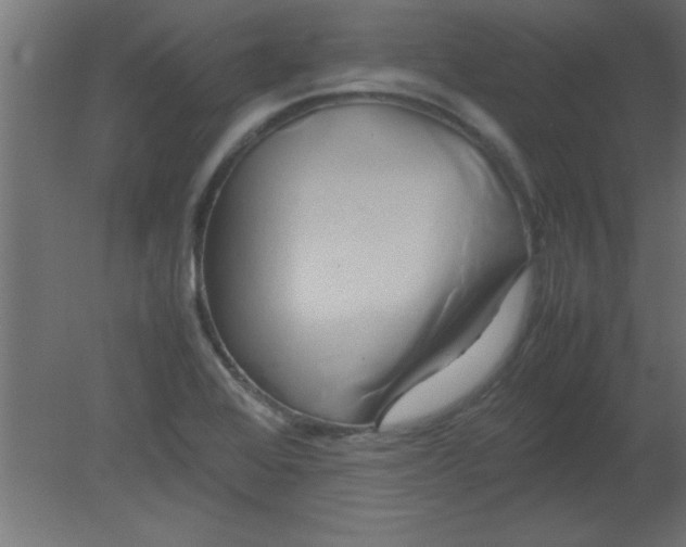 X0000080801368200701122203