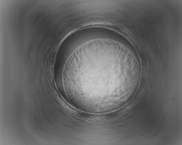 X0000080801369200701122203