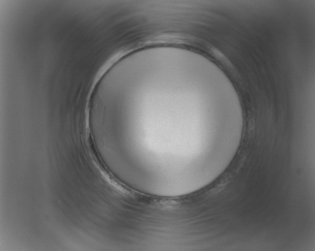 X0000080801370200701122203