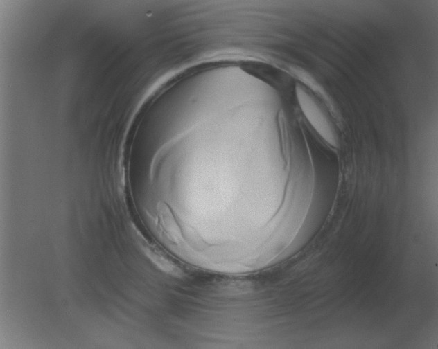 X0000080801372200701122203