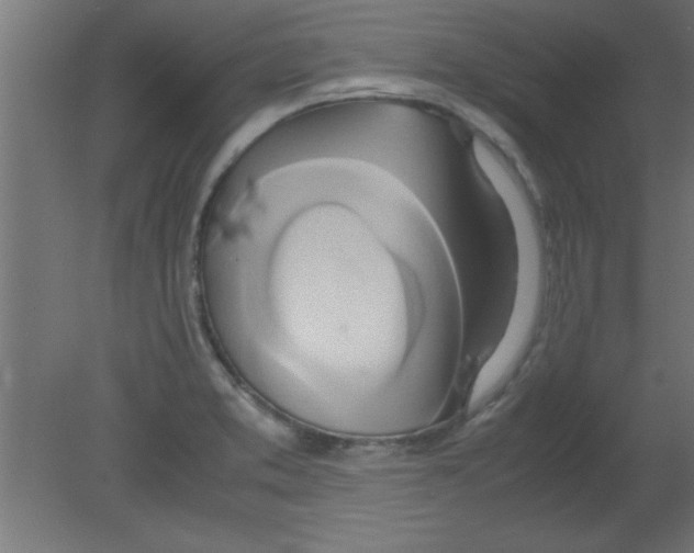X0000080801373200701122203