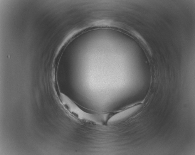 X0000080801376200701122203