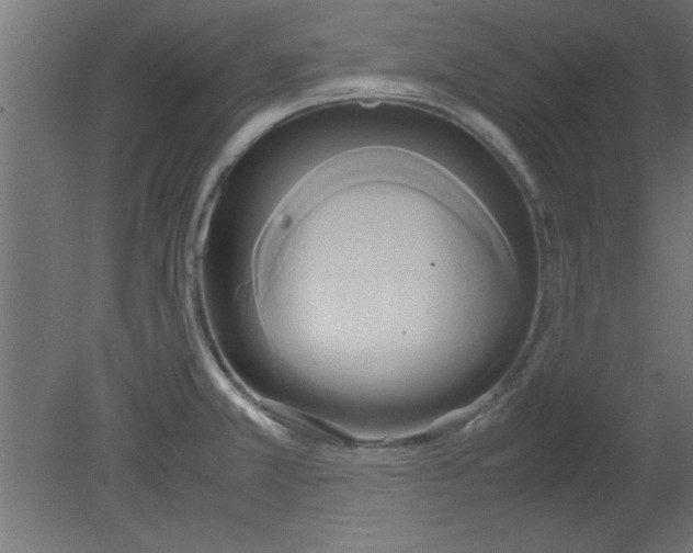 X0000080801381200701122203