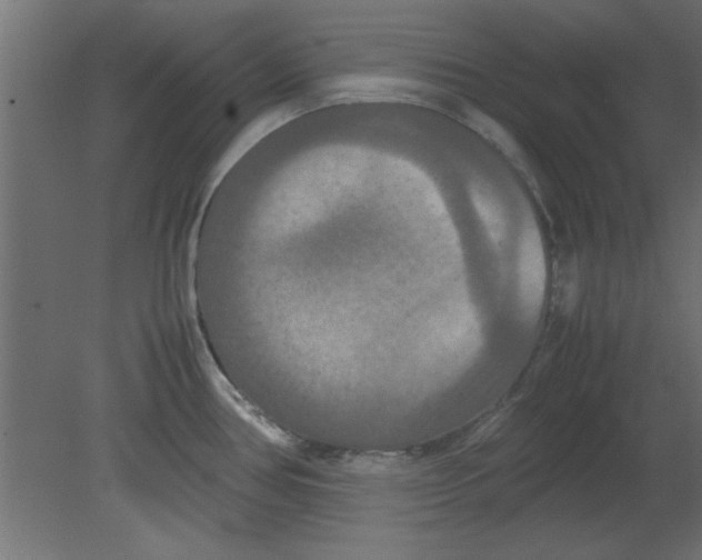 X0000080801386200701122203