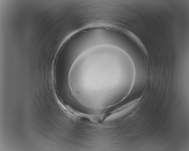 X0000080801388200701122203