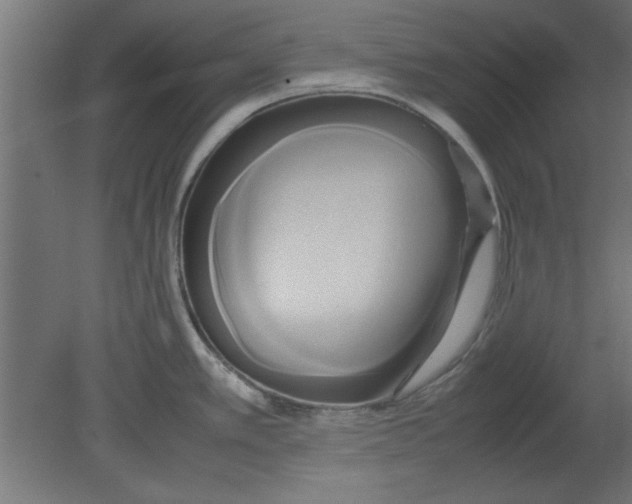 X0000080801389200701122203