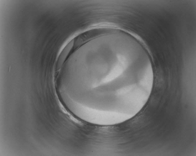 X0000080801390200701122203