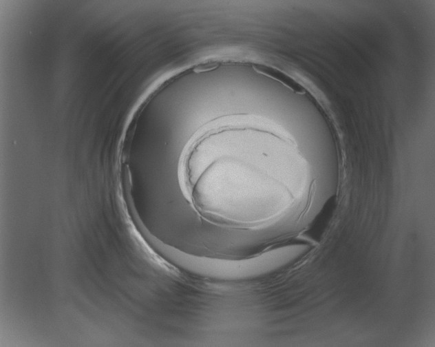 X0000080801392200701122203