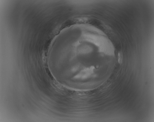 X0000080801395200701122202