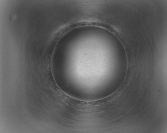 X0000080801398200701122202
