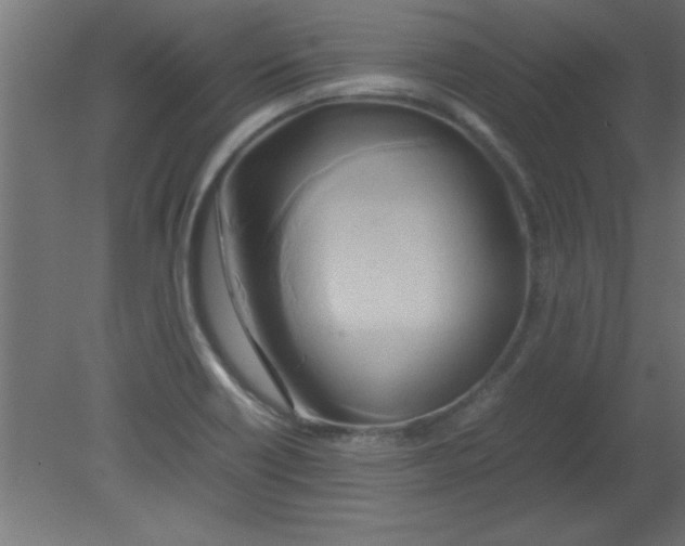 X0000080801418200701122203