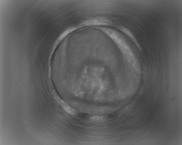 X0000080801419200701122203