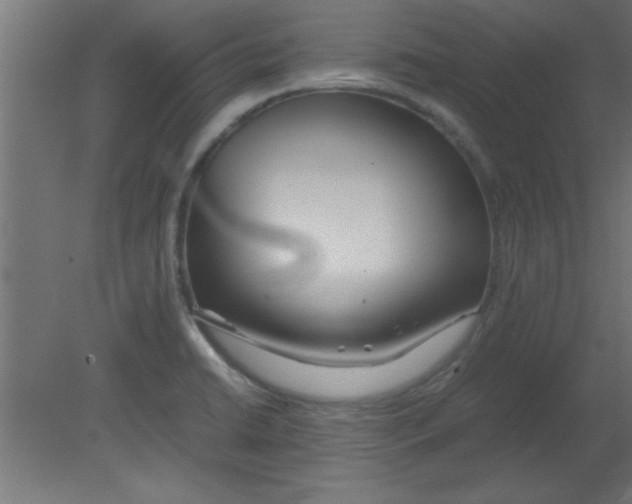 X0000080801422200701122203