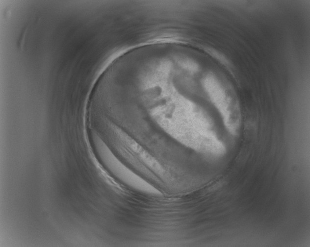 X0000080801423200701122203