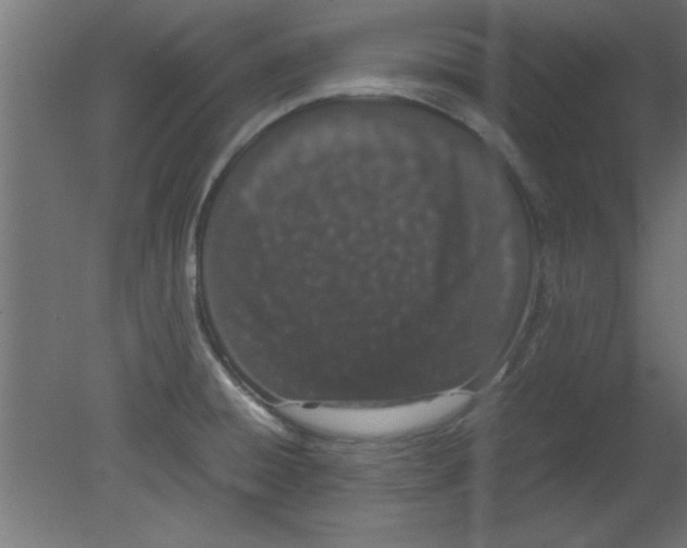 X0000080801428200701122203
