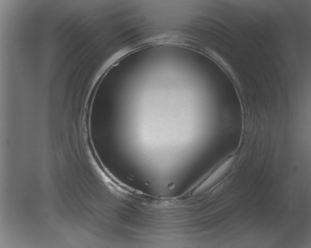 X0000080801434200701122203