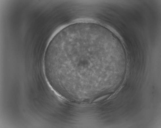 X0000080801440200701122203