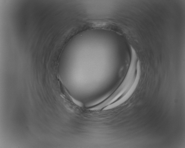 X0000080801441200701122202
