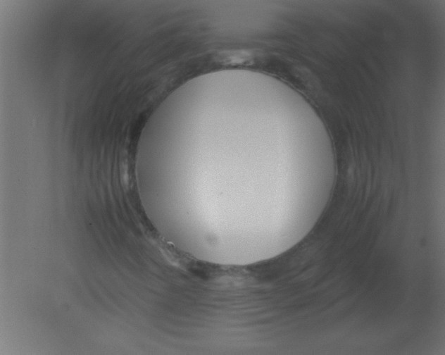 X0000080801442200701122202