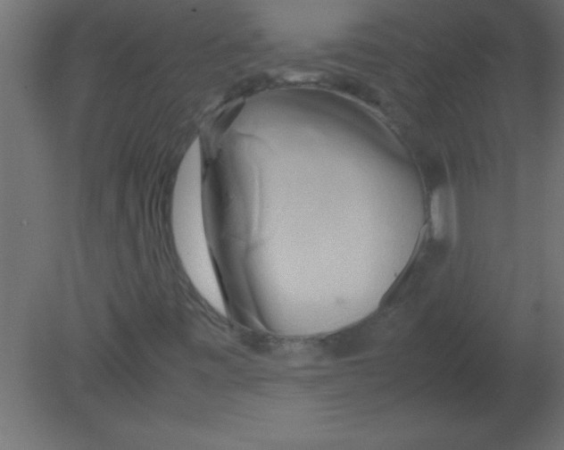 X0000080801443200701122202