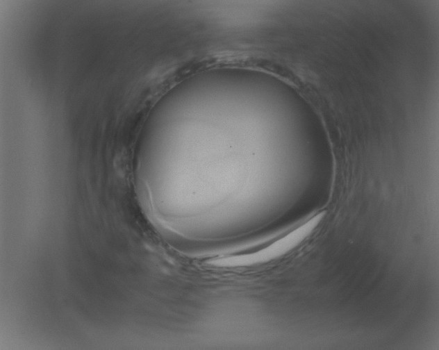 X0000080801445200701122202