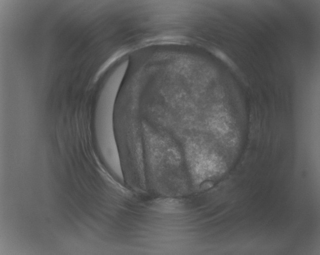 X0000080801450200701122202