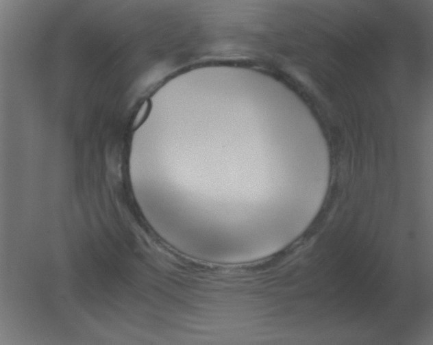 X0000080801451200701122202