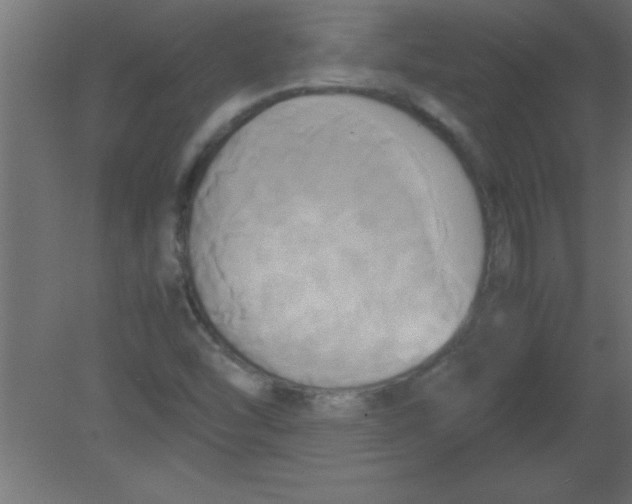 X0000080801454200701122202