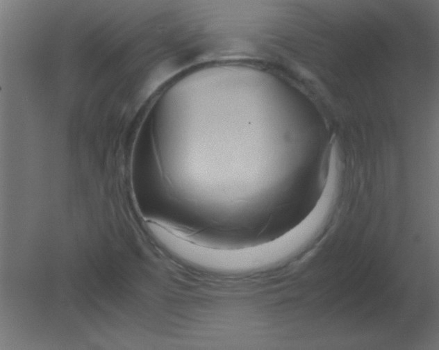X0000080801457200701122202