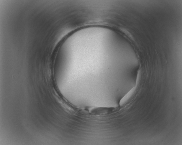 X0000080801458200701122202