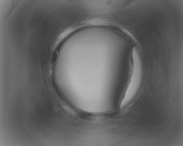 X0000080801461200701122202