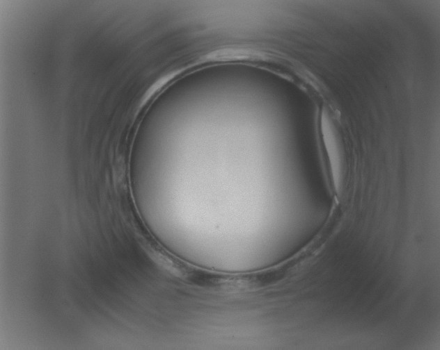 X0000080801465200701122202