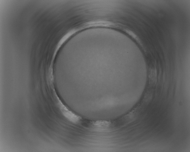 X0000080801466200701122202
