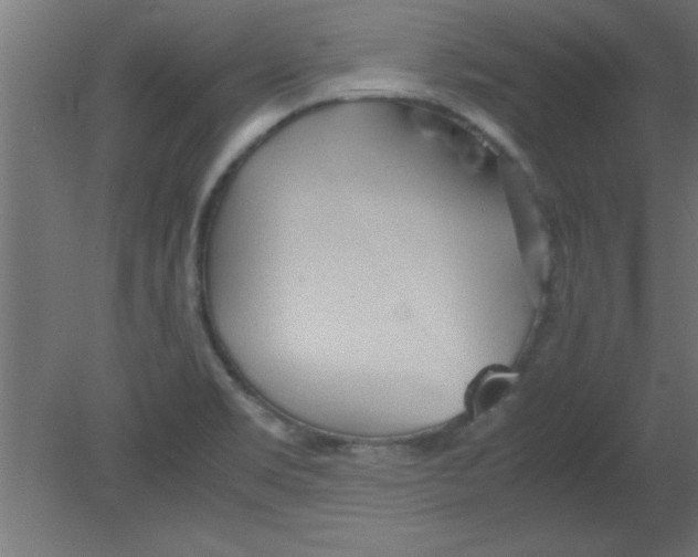 X0000080801469200701122202
