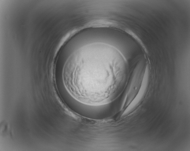 X0000080801477200701122202