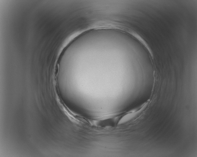 X0000080801485200701122201