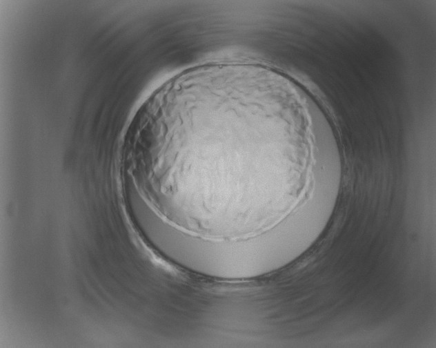 X0000080801486200701122201