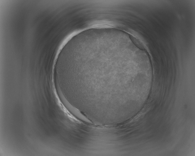 X0000080801488200701122201