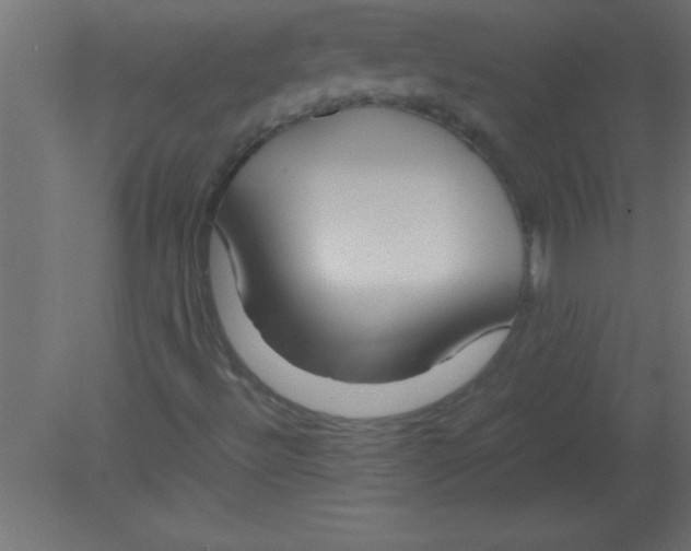 X0000080801492200701122201