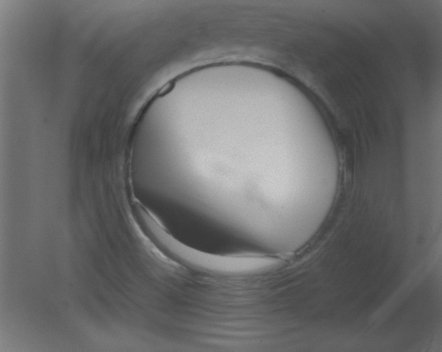 X0000080801500200701122201