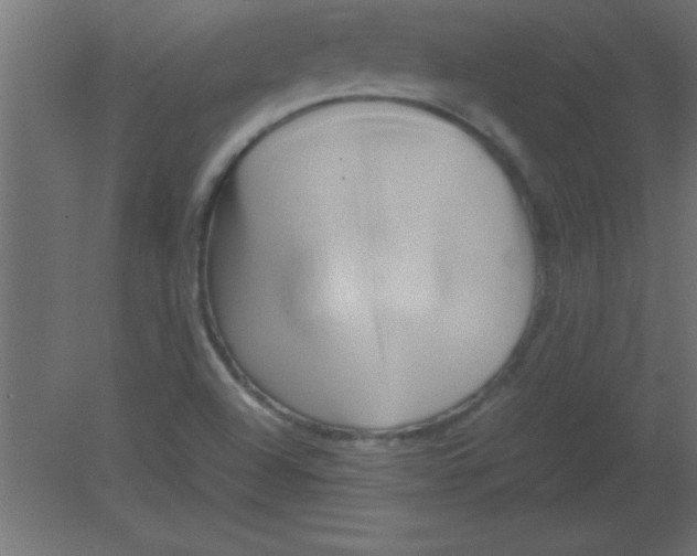 X0000080801504200701122201