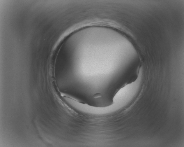 X0000080801506200701122201