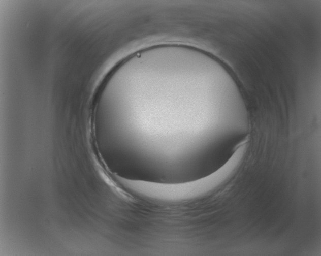X0000080801511200701122201