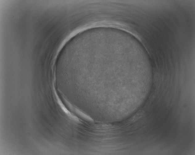 X0000080801515200701122201